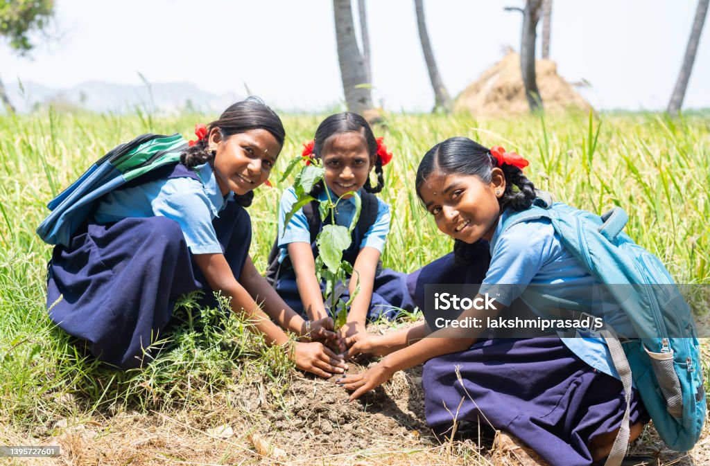 Green & Eco-Friendly Environment